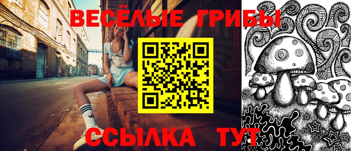 Галлюциногенные грибы MAGIC MUSHROOMS  Вход с VPN  Конаково 