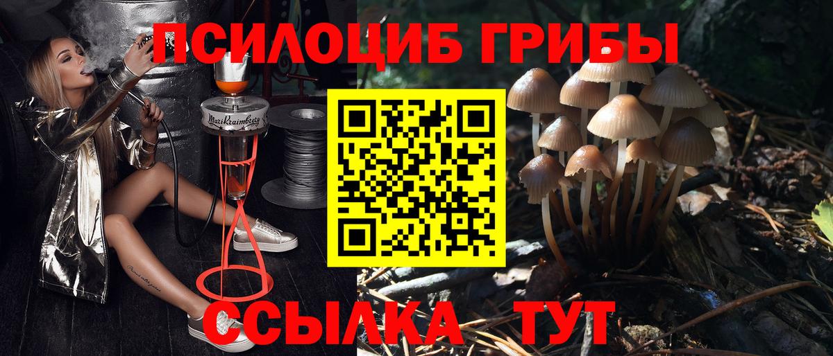 Галлюциногенные грибы мицелий Конаково